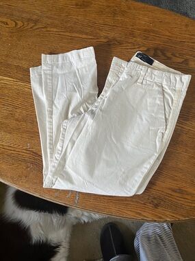 GAP women 12 petite pants